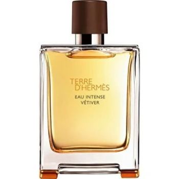 Hermes Terre D'Hermes Eau Intense Vetiver EDP 100 ml Erkek Parfüm