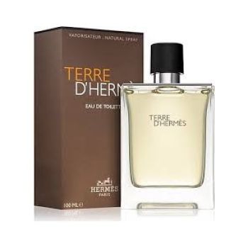 Hermes Terre D'Hermes EDT 100 ml Erkek Parfüm