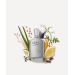 Creed Millesime Himalaya EDP 100 ML Erkek Parfüm