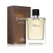 Hermes Terre D'Hermes EDT 100 ml Erkek Parfüm