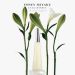 Issey Miyake L'Eau D'Issey EDT 100 ml Kadın Parfüm