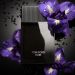 Tom Ford Noir EDP 100 ml Erkek Parfüm
